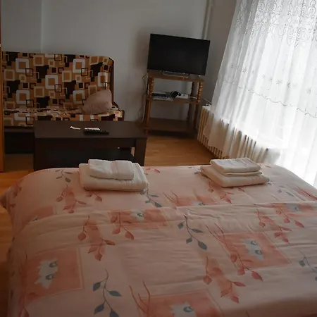 Apartman Slovenija 公寓 *