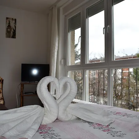 Apartman Slovenija * 巴尼西卢卡